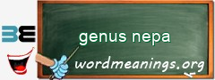 WordMeaning blackboard for genus nepa